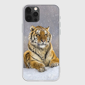 Чехол для iPhone 12 Pro Max с принтом ТИГР ЗИМОЙ в Кировске, Силикон |  | tiger | амурский | бенгальский | дикий | зима | зимой | кошка | крупная | полосатый | тигр | тигренок | тигрица