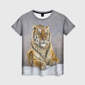 Женская футболка 3D с принтом ТИГР ЗИМОЙ в Кировске, 100% полиэфир ( синтетическое хлопкоподобное полотно) | прямой крой, круглый вырез горловины, длина до линии бедер | tiger | амурский | бенгальский | дикий | зима | зимой | кошка | крупная | полосатый | тигр | тигренок | тигрица