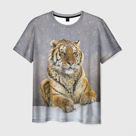 Мужская футболка 3D с принтом ТИГР ЗИМОЙ в Кировске, 100% полиэфир | прямой крой, круглый вырез горловины, длина до линии бедер | tiger | амурский | бенгальский | дикий | зима | зимой | кошка | крупная | полосатый | тигр | тигренок | тигрица