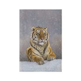 Обложка для паспорта матовая кожа с принтом ТИГР ЗИМОЙ в Кировске, натуральная матовая кожа | размер 19,3 х 13,7 см; прозрачные пластиковые крепления | tiger | амурский | бенгальский | дикий | зима | зимой | кошка | крупная | полосатый | тигр | тигренок | тигрица