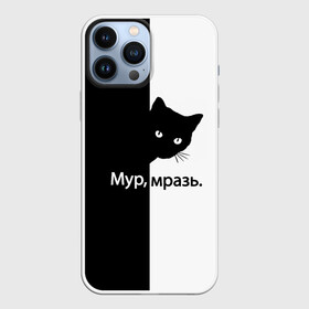 Чехол для iPhone 13 Pro Max с принтом Черный кот в Кировске,  |  | буквы | глаза | кот | котик | кошка | минимал | надпись | настроение | простая надпись | текст | черно белое | черный кот | черный фон