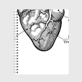 Тетрадь с принтом Схема сердца в Кировске, 100% бумага | 48 листов, плотность листов — 60 г/м2, плотность картонной обложки — 250 г/м2. Листы скреплены сбоку удобной пружинной спиралью. Уголки страниц и обложки скругленные. Цвет линий — светло-серый
 | Тематика изображения на принте: надписи | органы | сердце | схема