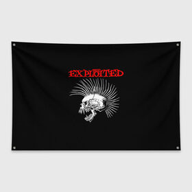 Флаг-баннер с принтом The Exploited в Кировске, 100% полиэстер | размер 67 х 109 см, плотность ткани — 95 г/м2; по краям флага есть четыре люверса для крепления | Тематика изображения на принте: exploited | punks | punks not dead | the exploited | панк не сдох | панки | уоти | череп | эксплоитед