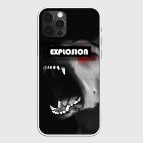 Чехол для iPhone 12 Pro Max с принтом EXPLOSION(ВЗРЫВНОЙ) в Кировске, Силикон |  | волк | злая собака | злой волк | лай собаки | неоновая надпись | оскал волка