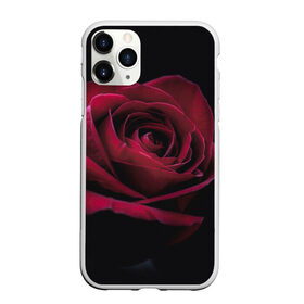 Чехол для iPhone 11 Pro Max матовый с принтом роза в Кировске, Силикон |  | гибридная роза | красная роза | роза | чайная роза | черная роза