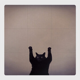 Магнитный плакат 3Х3 с принтом Кот сдается в Кировске, Полимерный материал с магнитным слоем | 9 деталей размером 9*9 см | cat | арест | испуг | кот | руки вверх | черный кот