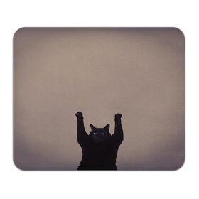 Коврик для мышки прямоугольный с принтом Кот сдается в Кировске, натуральный каучук | размер 230 х 185 мм; запечатка лицевой стороны | cat | арест | испуг | кот | руки вверх | черный кот