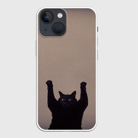 Чехол для iPhone 13 mini с принтом Кот сдается в Кировске,  |  | Тематика изображения на принте: cat | арест | испуг | кот | руки вверх | черный кот