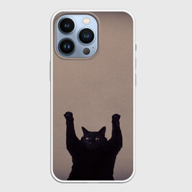 Чехол для iPhone 13 Pro с принтом Кот сдается в Кировске,  |  | cat | арест | испуг | кот | руки вверх | черный кот