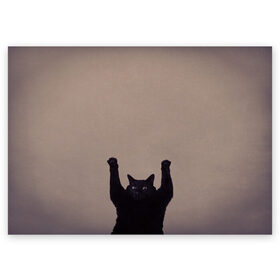 Поздравительная открытка с принтом Кот сдается в Кировске, 100% бумага | плотность бумаги 280 г/м2, матовая, на обратной стороне линовка и место для марки
 | Тематика изображения на принте: cat | арест | испуг | кот | руки вверх | черный кот