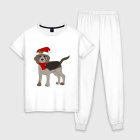 Женская пижама хлопок с принтом Новогодний Бигль в Кировске, 100% хлопок | брюки и футболка прямого кроя, без карманов, на брюках мягкая резинка на поясе и по низу штанин | Тематика изображения на принте: 2021 | бигль | зима | зимняя собака | милый | нарядная собака | новогодний щенок | новый год | подарок | собака | собака в шапке | шарф | щенок | щенок с шарфом