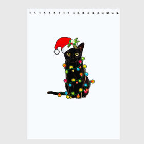 Скетчбук с принтом Новогодний кот в Кировске, 100% бумага
 | 48 листов, плотность листов — 100 г/м2, плотность картонной обложки — 250 г/м2. Листы скреплены сверху удобной пружинной спиралью | 2021 | белка | гирлянда | год быка | дед мороз | елка | енот | кот | котик | лиса | маска | неон | новогодний кот | новогодняя | новый год | олень | праздник | радуга | рождество | с новым годом | санта