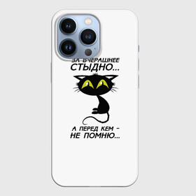 Чехол для iPhone 13 Pro с принтом За вчерашнее стыдно в Кировске,  |  | Тематика изображения на принте: животные | кот | надписи | стыдно | юмор