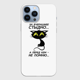 Чехол для iPhone 13 Pro Max с принтом За вчерашнее стыдно в Кировске,  |  | животные | кот | надписи | стыдно | юмор