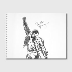 Альбом для рисования с принтом Freddie Mercury в Кировске, 100% бумага
 | матовая бумага, плотность 200 мг. | freddie mercury | queen | автограф | квин | фредди меркьюри