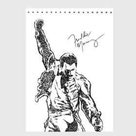 Скетчбук с принтом Freddie Mercury в Кировске, 100% бумага
 | 48 листов, плотность листов — 100 г/м2, плотность картонной обложки — 250 г/м2. Листы скреплены сверху удобной пружинной спиралью | Тематика изображения на принте: freddie mercury | queen | автограф | квин | фредди меркьюри
