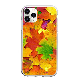 Чехол для iPhone 11 Pro Max матовый с принтом Осенние листья в Кировске, Силикон |  | Тематика изображения на принте: клён | краски | листья | осень | радуга | разноцветный | яркая