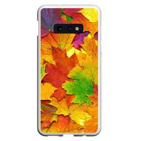 Чехол для Samsung S10E с принтом Осенние листья в Кировске, Силикон | Область печати: задняя сторона чехла, без боковых панелей | Тематика изображения на принте: клён | краски | листья | осень | радуга | разноцветный | яркая