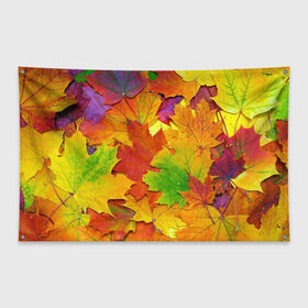Флаг-баннер с принтом Осенние листья в Кировске, 100% полиэстер | размер 67 х 109 см, плотность ткани — 95 г/м2; по краям флага есть четыре люверса для крепления | клён | краски | листья | осень | радуга | разноцветный | яркая