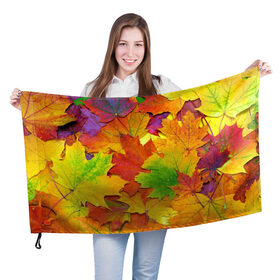Флаг 3D с принтом Осенние листья в Кировске, 100% полиэстер | плотность ткани — 95 г/м2, размер — 67 х 109 см. Принт наносится с одной стороны | клён | краски | листья | осень | радуга | разноцветный | яркая