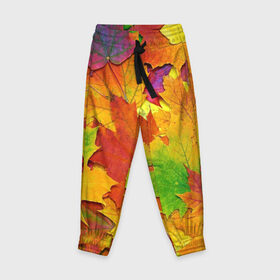 Детские брюки 3D с принтом Осенние листья в Кировске, 100% полиэстер | манжеты по низу, эластичный пояс регулируется шнурком, по бокам два кармана без застежек, внутренняя часть кармана из мелкой сетки | клён | краски | листья | осень | радуга | разноцветный | яркая