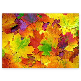 Поздравительная открытка с принтом Осенние листья в Кировске, 100% бумага | плотность бумаги 280 г/м2, матовая, на обратной стороне линовка и место для марки
 | клён | краски | листья | осень | радуга | разноцветный | яркая