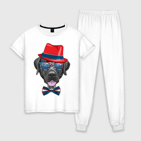 Женская пижама хлопок с принтом Мажор в Кировске, 100% хлопок | брюки и футболка прямого кроя, без карманов, на брюках мягкая резинка на поясе и по низу штанин | арт | графика | животные | лабрадор | собаки
