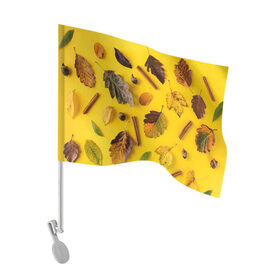 Флаг для автомобиля с принтом Гербарий в Кировске, 100% полиэстер | Размер: 30*21 см | гербарий | жёлтый | листья | осень