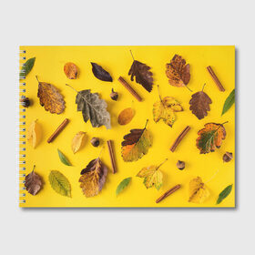 Альбом для рисования с принтом Гербарий в Кировске, 100% бумага
 | матовая бумага, плотность 200 мг. | гербарий | жёлтый | листья | осень