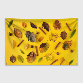 Флаг-баннер с принтом Гербарий в Кировске, 100% полиэстер | размер 67 х 109 см, плотность ткани — 95 г/м2; по краям флага есть четыре люверса для крепления | гербарий | жёлтый | листья | осень