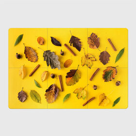 Магнитный плакат 3Х2 с принтом Гербарий в Кировске, Полимерный материал с магнитным слоем | 6 деталей размером 9*9 см | гербарий | жёлтый | листья | осень