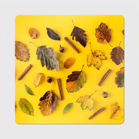 Магнит виниловый Квадрат с принтом Гербарий в Кировске, полимерный материал с магнитным слоем | размер 9*9 см, закругленные углы | гербарий | жёлтый | листья | осень