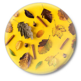 Значок с принтом Гербарий в Кировске,  металл | круглая форма, металлическая застежка в виде булавки | гербарий | жёлтый | листья | осень