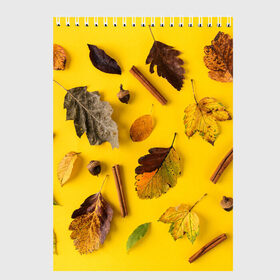 Скетчбук с принтом Гербарий в Кировске, 100% бумага
 | 48 листов, плотность листов — 100 г/м2, плотность картонной обложки — 250 г/м2. Листы скреплены сверху удобной пружинной спиралью | гербарий | жёлтый | листья | осень