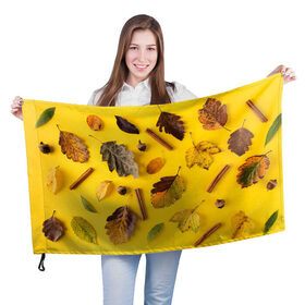 Флаг 3D с принтом Гербарий в Кировске, 100% полиэстер | плотность ткани — 95 г/м2, размер — 67 х 109 см. Принт наносится с одной стороны | гербарий | жёлтый | листья | осень