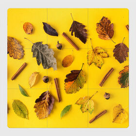 Магнитный плакат 3Х3 с принтом Гербарий в Кировске, Полимерный материал с магнитным слоем | 9 деталей размером 9*9 см | гербарий | жёлтый | листья | осень