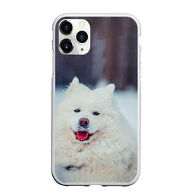 Чехол для iPhone 11 Pro матовый с принтом САМОЕД в Кировске, Силикон |  | Тематика изображения на принте: animals | dog | winter | домашние | друг | животные | звери | зима | лайка | пес | песель | природа | пушистый | самоед | собаки | собачка | хаски
