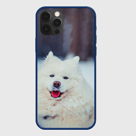 Чехол для iPhone 12 Pro Max с принтом САМОЕД в Кировске, Силикон |  | Тематика изображения на принте: animals | dog | winter | домашние | друг | животные | звери | зима | лайка | пес | песель | природа | пушистый | самоед | собаки | собачка | хаски