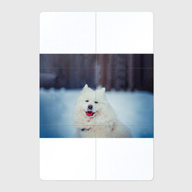 Магнитный плакат 2Х3 с принтом САМОЕД в Кировске, Полимерный материал с магнитным слоем | 6 деталей размером 9*9 см | animals | dog | winter | домашние | друг | животные | звери | зима | лайка | пес | песель | природа | пушистый | самоед | собаки | собачка | хаски