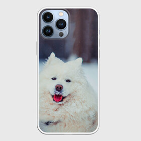 Чехол для iPhone 13 Pro Max с принтом САМОЕД в Кировске,  |  | animals | dog | winter | домашние | друг | животные | звери | зима | лайка | пес | песель | природа | пушистый | самоед | собаки | собачка | хаски