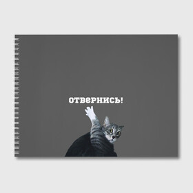 Альбом для рисования с принтом Отвернись! в Кировске, 100% бумага
 | матовая бумага, плотность 200 мг. | cat | кот | смущение