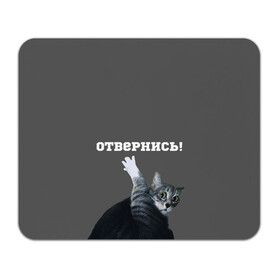 Коврик для мышки прямоугольный с принтом Отвернись! в Кировске, натуральный каучук | размер 230 х 185 мм; запечатка лицевой стороны | cat | кот | смущение