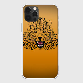 Чехол для iPhone 12 Pro с принтом Леопард в Кировске, силикон | область печати: задняя сторона чехла, без боковых панелей | big cat | cat | leopard | кот | кошка | леопард