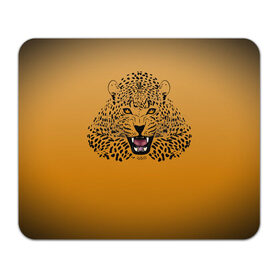 Коврик для мышки прямоугольный с принтом Леопард в Кировске, натуральный каучук | размер 230 х 185 мм; запечатка лицевой стороны | big cat | cat | leopard | кот | кошка | леопард