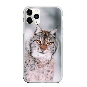 Чехол для iPhone 11 Pro Max матовый с принтом Рысь в Кировске, Силикон |  | Тематика изображения на принте: cat | животные | звири | кис | киска | кот | котейка | котик | коты | котяра | кошка | кошки | природа | рысь