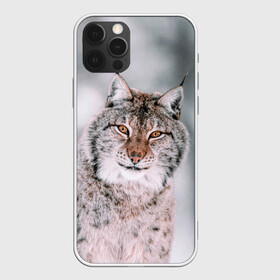 Чехол для iPhone 12 Pro Max с принтом Рысь в Кировске, Силикон |  | Тематика изображения на принте: cat | животные | звири | кис | киска | кот | котейка | котик | коты | котяра | кошка | кошки | природа | рысь