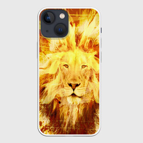 Чехол для iPhone 13 mini с принтом Лев в Кировске,  |  | cat | kitten | kitty | lion | pet | tiger | арт | взгляд | животные | кот | котёнок | коты | котятки | котятушки | кошечки | кошка | кошки | лев | мордочка | тигр