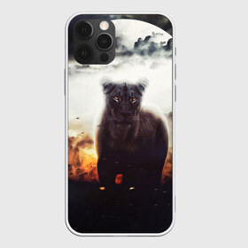 Чехол для iPhone 12 Pro Max с принтом Львица в Кировске, Силикон |  | cat | kitten | kitty | lion | pet | tiger | арт | взгляд | животные | кот | котёнок | коты | котятки | котятушки | кошечки | кошка | кошки | лев | мордочка | тигр