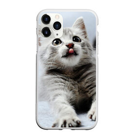 Чехол для iPhone 11 Pro матовый с принтом серый котенок в Кировске, Силикон |  | grey kitten | kitten | котенок | милый котенок | серый котенок