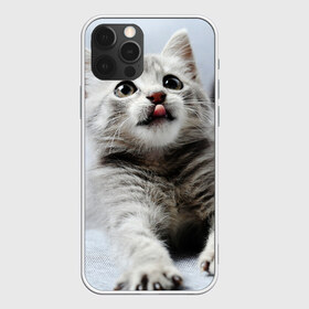 Чехол для iPhone 12 Pro Max с принтом серый котенок в Кировске, Силикон |  | grey kitten | kitten | котенок | милый котенок | серый котенок